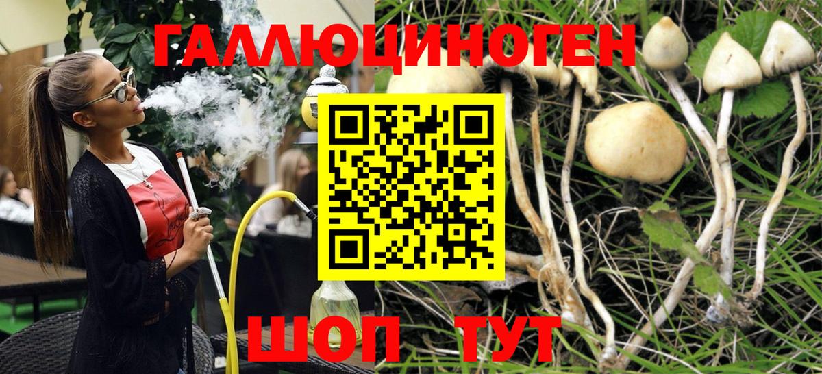 Галлюциногенные грибы Psilocybe Алапаевск